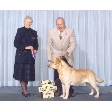 Labrador Retriever Breeder in Crewe, Virginia