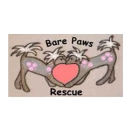 Bare Paws logo
