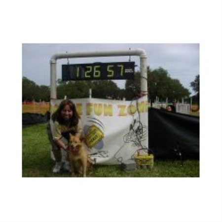 Finnish Spitz in Florida