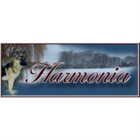 German Shepherd Dog Breeder in Gatineau, Quebec