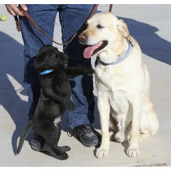 Lab in New Mexico