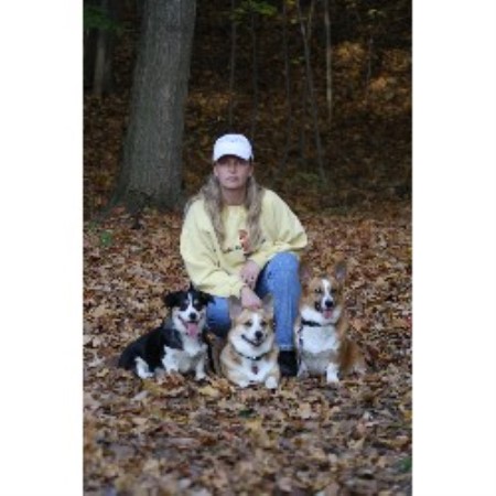 free puppies in cleveland ohio wendt worth corgis pembroke corgi breeder in cleveland ohio free puppies in cleveland ohio wendt worth corgis pembroke corgi breeder in cleveland ohio