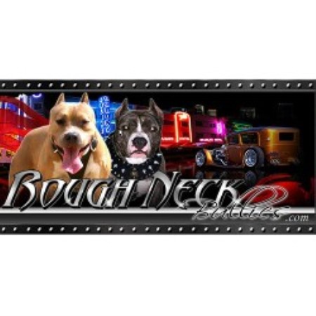 American Pit Bull Terrier Breeder in Miramar, Florida