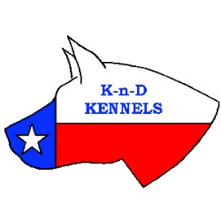 American Hairless Terrier Breeder in Denison, Texas