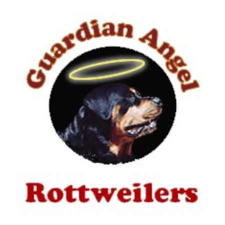 Rottweiler Breeder in Maricopa, Arizona