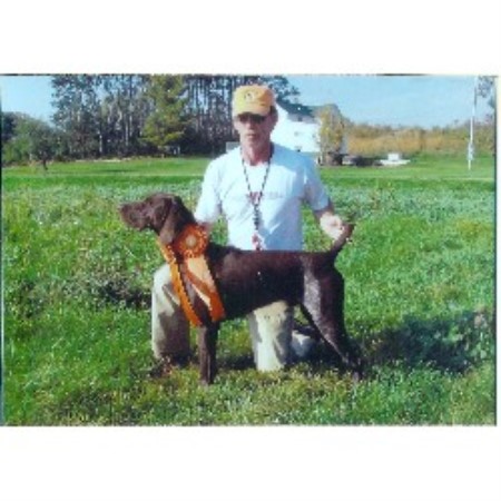 German Shorthaired Pointer Breeder in Hibbing, Minnesota