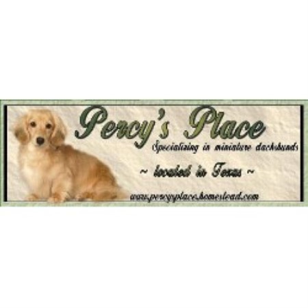 Dachshund Breeder in Red Oak, Texas