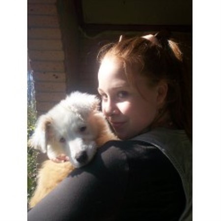 English Shepherd Breeder in Tylertown, Mississippi