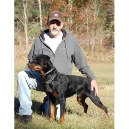 Rottweiler Breeder in Micanopy, Florida