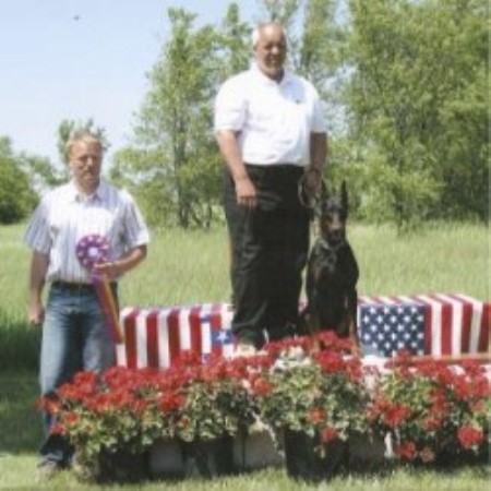Doberman Pinscher in Missouri
