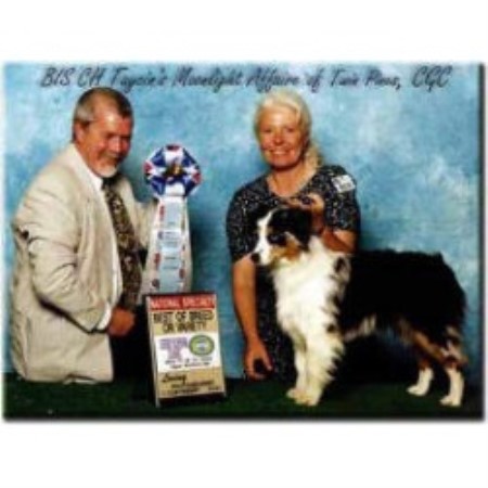 Australian Shepherd Dog breeder in Templeton California