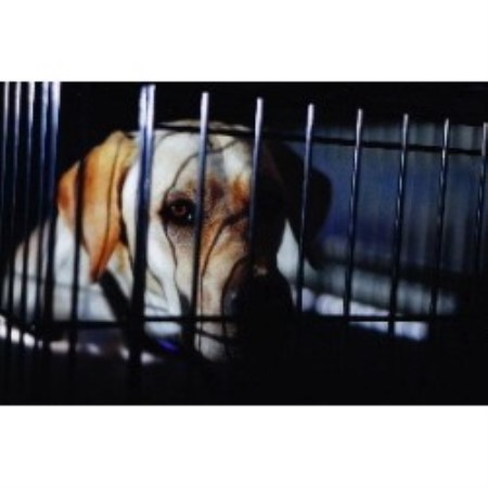 Lab in New Mexico