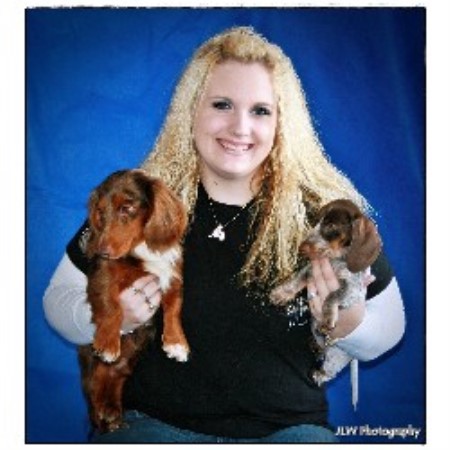 Doxie breeder in Florida picture 2
