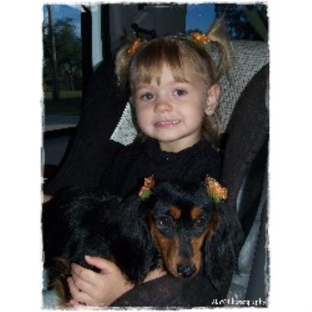 Dachshund breeder in Winter Haven Florida