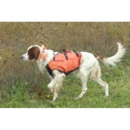 Irish Red And White Setter Breeder in New Tripoli, Pennsylvania