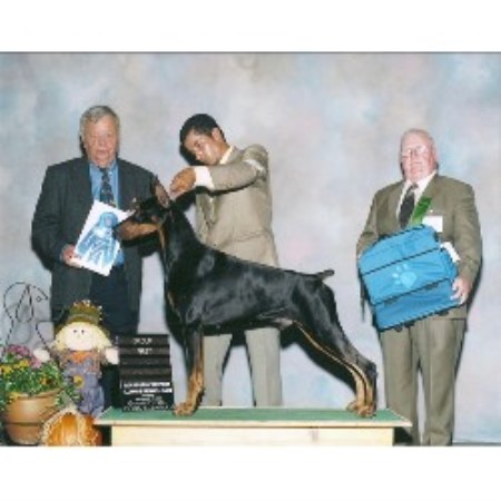 Doberman Pinscher Breeder in Oxford, Wisconsin