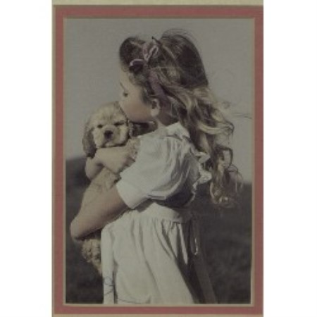 American Cocker Spaniel breeder in Ohio