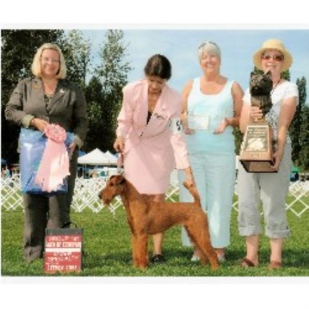 Irish Terrier Breeder in Roy, Washington