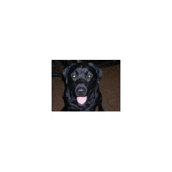 Jake1