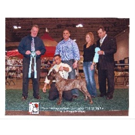 Cane Corso breeder in Massachusetts picture 2