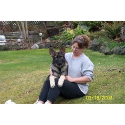 Shiloh Shepherd in Washington picture 2