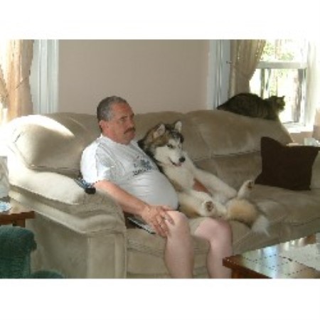 Alaskan Malamute breeder in Ontario picture 2
