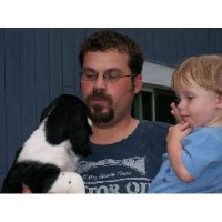 English Springer Spaniel Breeders in New York ...