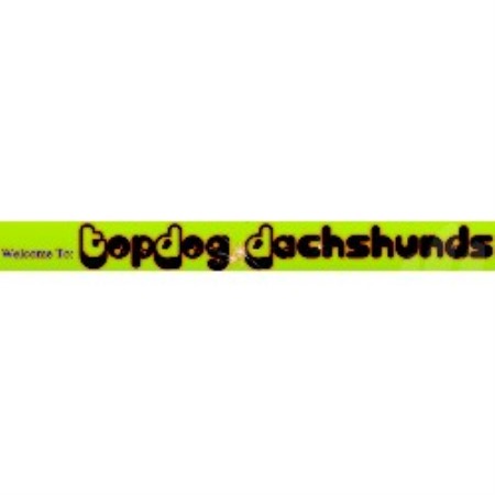 Dachshund breeder in Upland California