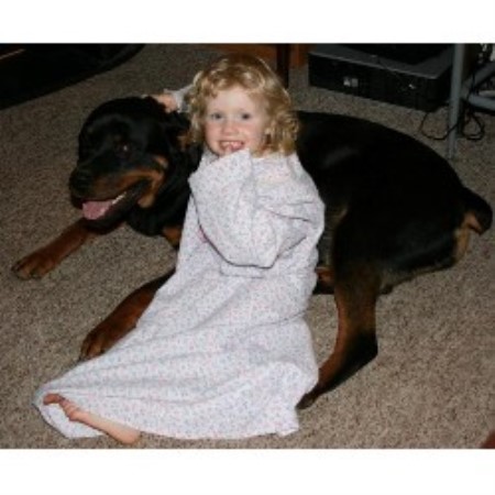 rottweiler breeders pa schwartz family rottweilers rottweiler breeder in richland pennsylvania rottweiler breeders pa schwartz family rottweilers rottweiler breeder in richland pennsylvania