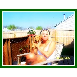 Dachshund breeder in Indianapolis Indiana