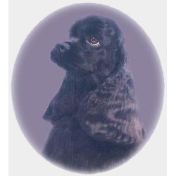 Dog And Babyjpg