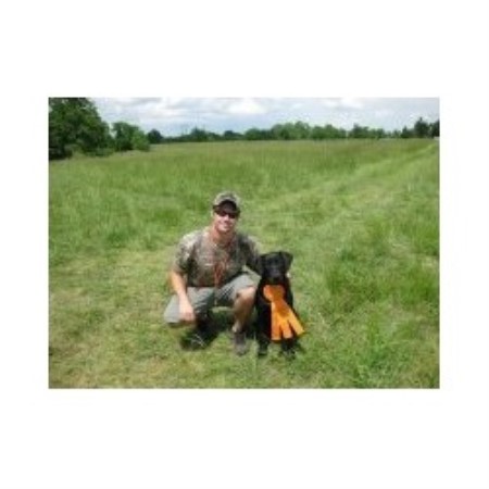 Labrador Retriever breeder in Fort Worth Texas