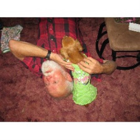Doxie breeder in Texas picture 2