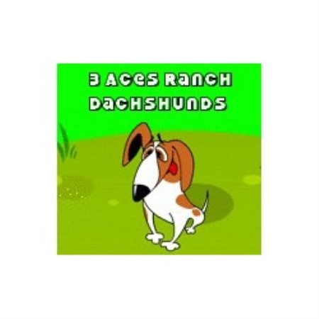 Dachshund Breeder in Bodfish, California