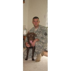 Labrador Retriever Stud in Oak Grove, Kentucky