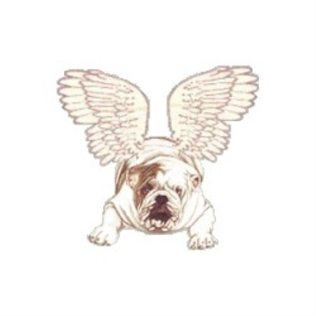 Bulldog Club