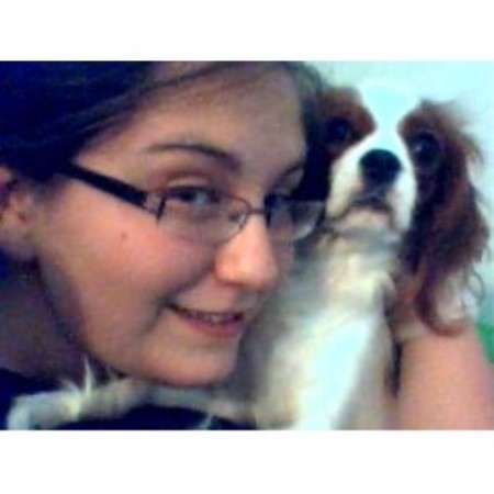 Cavalier King Charles Spaniel Breeder in Centereach, New York