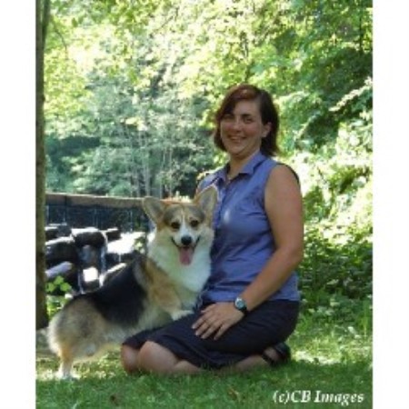 Pembroke Welsh Corgi breeder in Nova Scotia picture 2