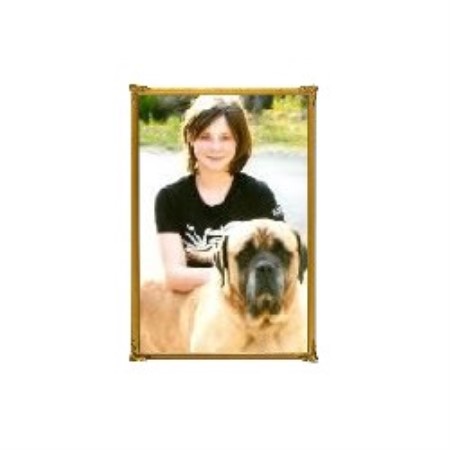 Mastiff in Tennessee picture 2