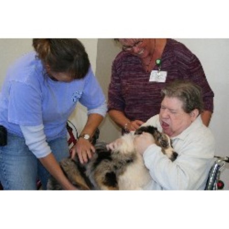 Aussie breeder in South Carolina picture 2