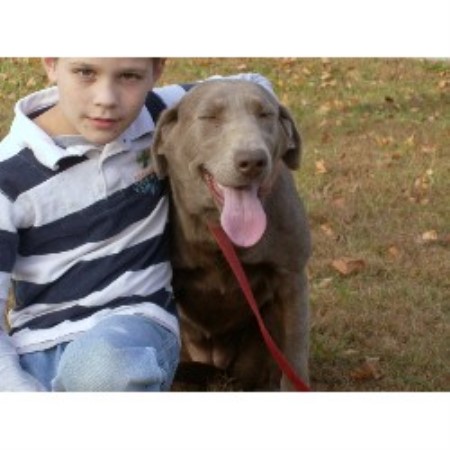 Lab in Kentucky