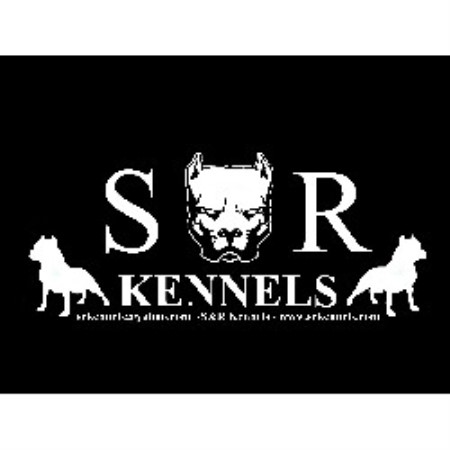terrier bull pit american dog breeders freedoglistings harbor palm florida updated 2009 last