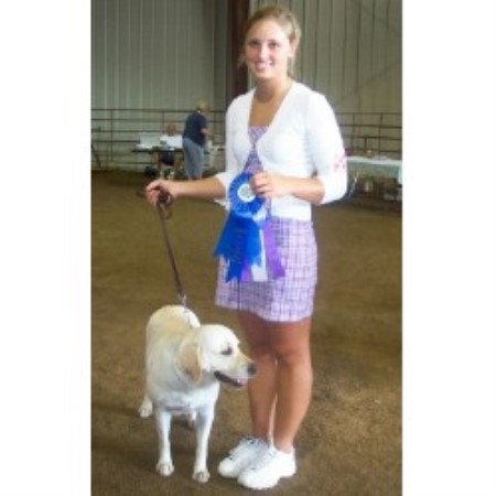Labrador Retriever Breeder in Glenford, Ohio