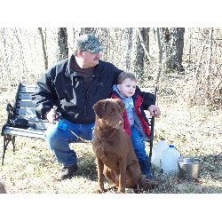 Chesapeake Bay Retriever Breeder in Burt, Michigan