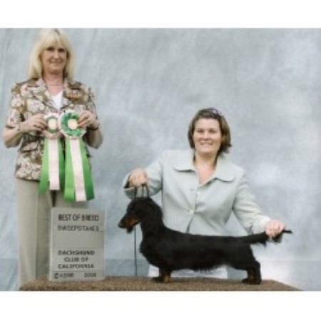 Dachshund Breeder in Palmdale, California