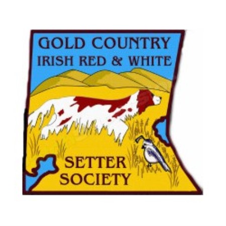 GCIRWSSlogo