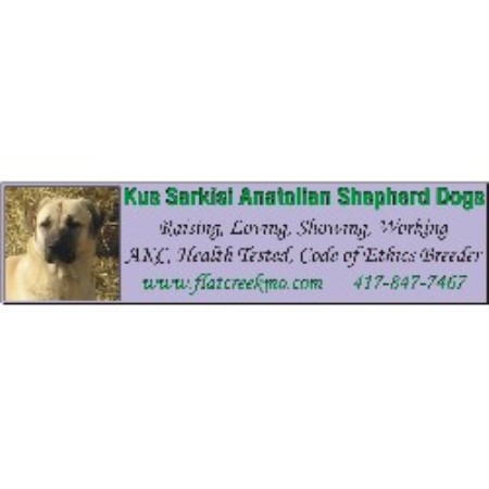Anatolian Shepherd Dog Breeder in Aurora, Missouri