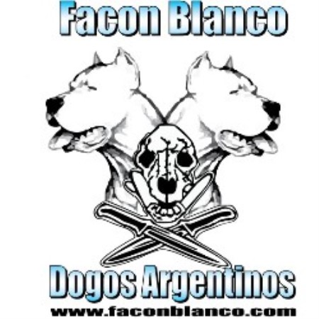Dogo+argentino+breeders+arizona