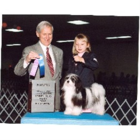 havanese puppies for sale in gilbert az havacasa havanese havanese breeder in gilbert arizona havanese puppies for sale in gilbert az havacasa havanese havanese breeder in gilbert arizona