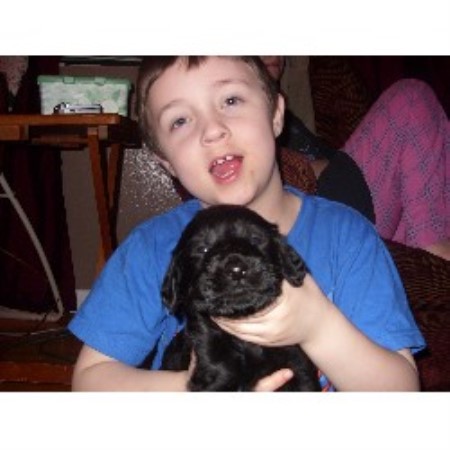 Labradoodle Breeder in Cleveland, Tennessee